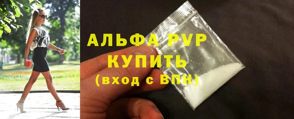 трава Белокуриха