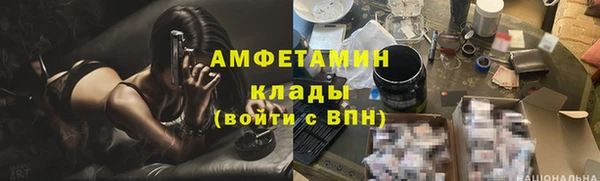 трава Белокуриха