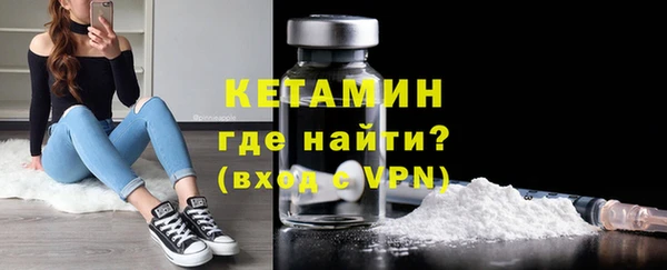 трава Белокуриха
