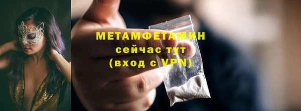 трава Белокуриха