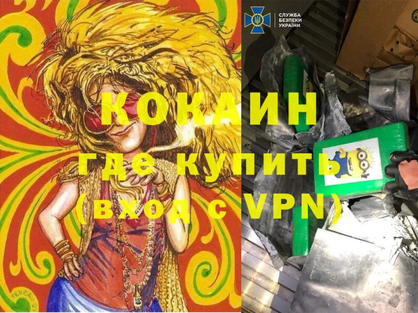 трава Белокуриха