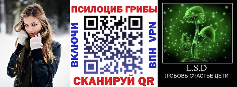 наркошоп  дарк нет Telegram  Псилоцибиновые грибы GOLDEN TEACHER  Волхов 